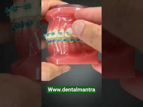 Denmax Ortho WAX