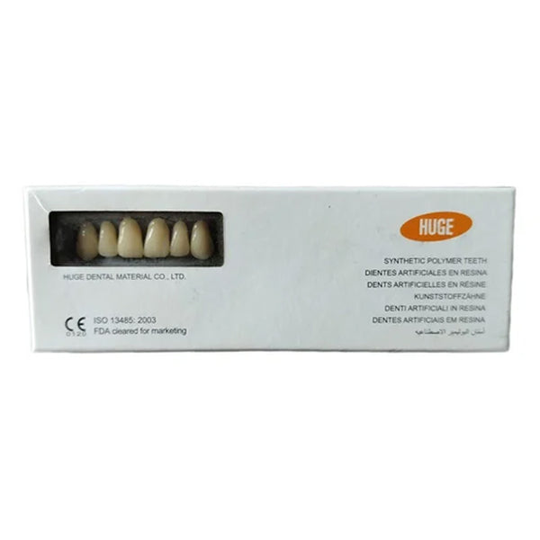 HUGE Sonning Acrylic Denture Teeth A1 Shade
