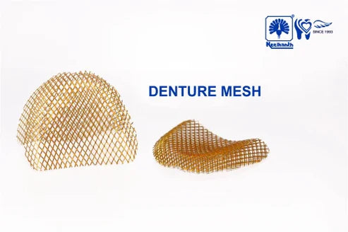 neelkanth denture mesh