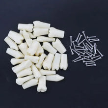 API Typodont Replacement Teeth Set with Screw