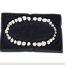 API Typodont Replacement Teeth Set with Screw