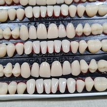 Dental Acrylic Resin Teeth Set Shade 24 | Complete 