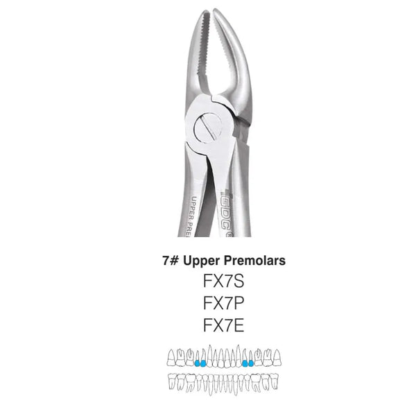 GDC Extraction Forcep Upper Premolar - 7 Premium (FX7P) – Dentalmantraa