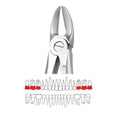 GDC Extraction Forceps Upper Molars 55 Standard FX55S