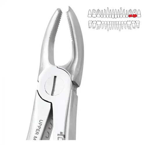GDC Extraction Forceps Upper Molar Left Standard
