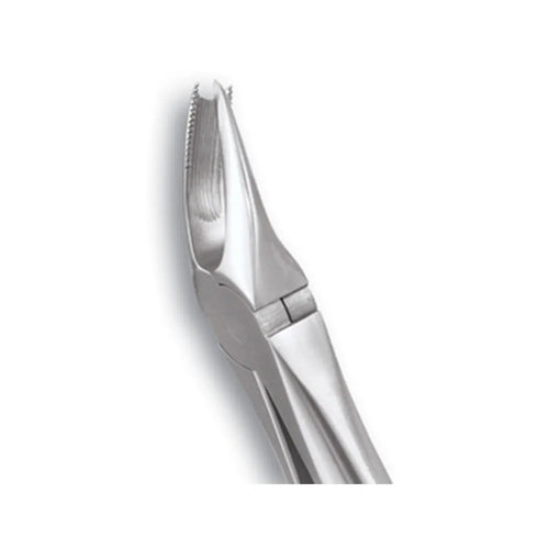 GDC Extraction Forceps Upper Molars Right Standard