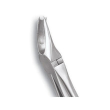 GDC Extraction Forceps Upper Molars Right Standard Buy Dental products Online DentalMyntra