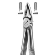 GDC Extraction Forceps Upper Roots - 29 Standard Buy Dental products Online DentalMyntra