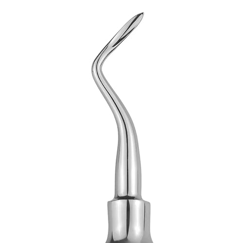 GDC Root Elevators Apical Standard (E2f)