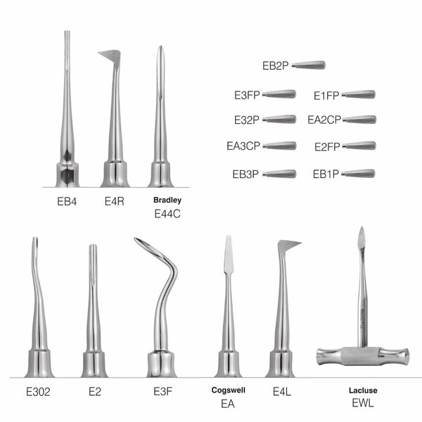 GDC Root Elevators | Stainless Steel Dental Tooth