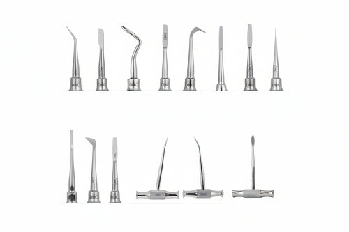 GDC Root Elevators | Stainless Steel Dental Tooth