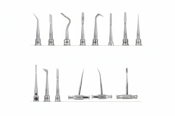 GDC Root Elevators | Stainless Steel Dental Tooth