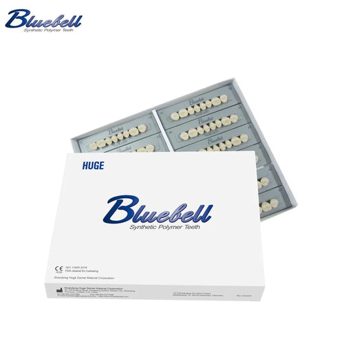 Huge Dental Bluebell Acrylic Denture Teeth (Set of 28)