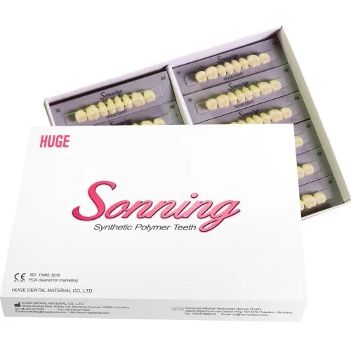 Huge Sonning Synthetic Polymer Denture Teeth