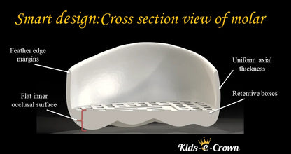 Kids-e-Crown Primary First Molar Kits Zirconia Crowns - Primary First Molar Buy Dental products Online DentalMyntra