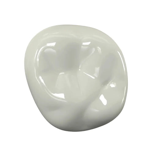Kids-e-Dental BioFlx Upper Right 2nd Molar Crowns Refills