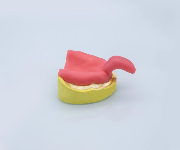 Light Curing Tray 2.0mm Huge Buy Dental products Online DentalMyntra