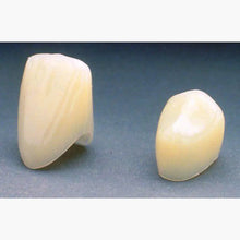 Polycarbonate Crowns – Intro Kit C180 – 3M ESPE Buy Dental products Online DentalMyntra