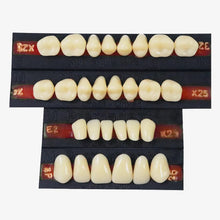 Premadent Cross-Linked Acrylic Teeth Set