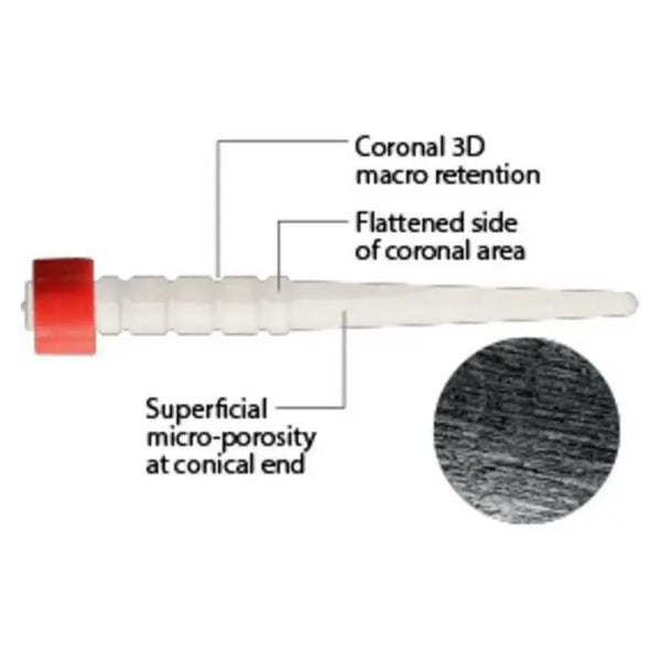 RelyX Fiber Post 3D Glass- 3M ESPE Buy Dental products Online DentalMyntra