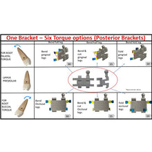 MBT Metal Bracket  BaTR- Brackets with Variable Torque and Rotation