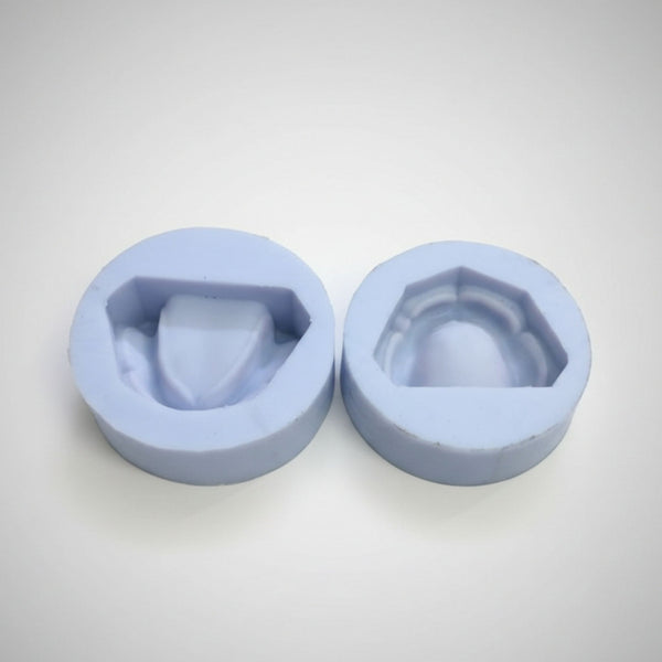iDENTical Complete Edentulous Cast Moulds M8018 