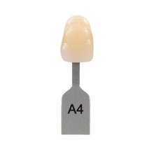 VITA Classical Shade Guide | 16-Shade Dental 