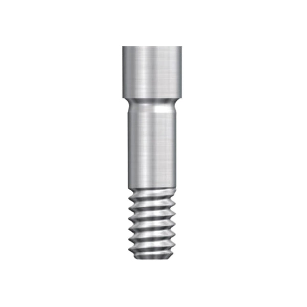 Adin Prosthetic Long Screw