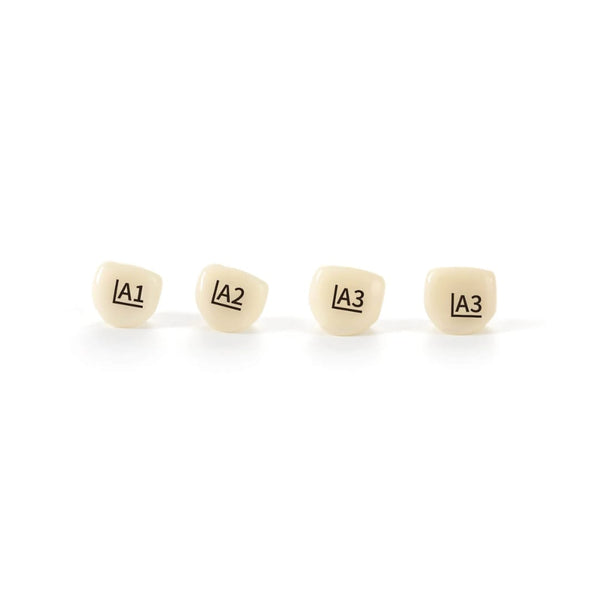 Kids Zirconia Crown | Pediatric Dental Crown for Primary Teeth 