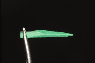 Wooden Wedges for Precise Dental Restorative Procedures