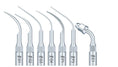Woodpecker Scaler Tip for UDS & EMS Scalers Buy Dental products Online DentalMyntra