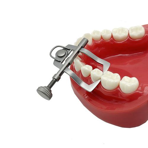 Anterior & Posterior Ivory Tooth Separator