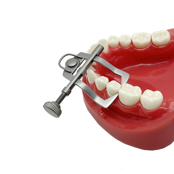 Anterior & Posterior Ivory Tooth Separator