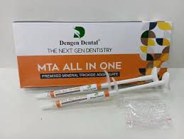 Dengen MTA All in One 3gm | Root Canal Sealer & Repair