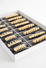 Dental Acrylic Teeth Sets for Dentures – Prosthetic Teeth