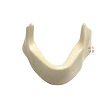 iDENTical Implant Practice Mandible Jaw Model M2025 (1 Piece) Buy Dental products Online DentalMyntra