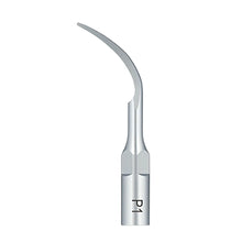 Woodpecker Scaler Tip