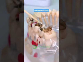 Stim Flosser: Effortless Oral Care with Stim Flosal Floss Picks