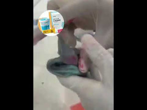 Orikam Neopure C-Silicone Kit for Precision Dental Impressions