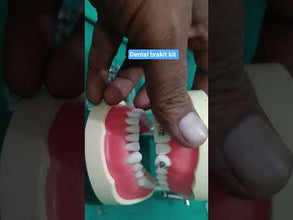 OCTA  TYPE TYPHODONT JAW SET (SET OF 32 TEETH)