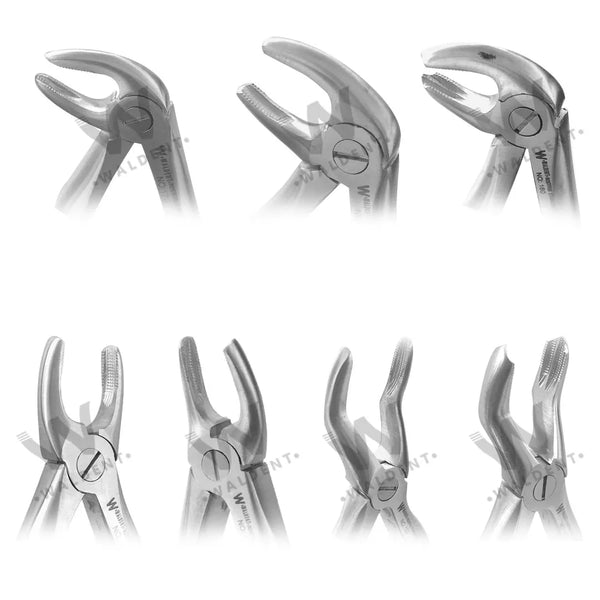Pedo Extraction Forceps Kit Set of 7