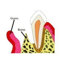 Colo Gide GTR Membrane Pack of 1