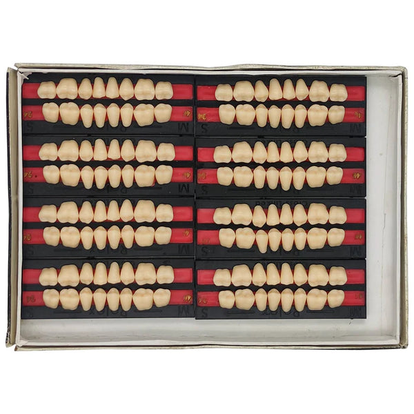 Rolex Molar Set