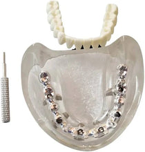 Paulo Malo Model for All-on-4 Implant Training and Prosthetic Practice