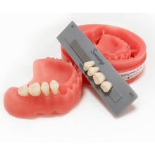 HUGE Sonning Acrylic Denture Teeth A1 Shade