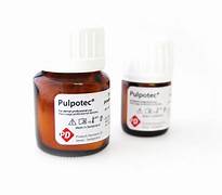 Pd Pulpotec (15 Gm Powder + 15 Ml Liquid)