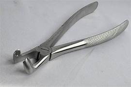 Api Extraction Forceps
