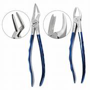 Api Extraction Forceps