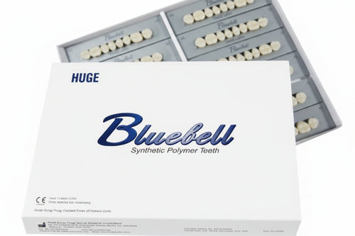 HUGE Bluebell Acrylic Denture Teeth B1 Shade