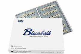 Huge Dental Bluebell Acrylic Denture Teeth B1